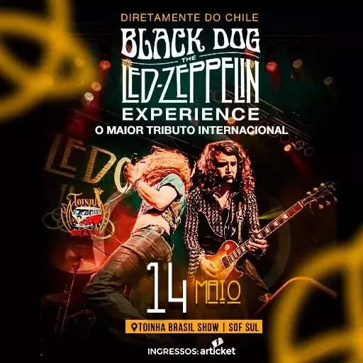 Black Dog - The Led Zeppelin Experience | Toinha Brasil Show