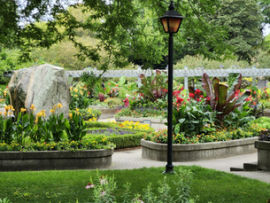 Designing Accessible Gardens for Seniors and NDIS Clients in Sydney