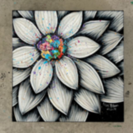 20”x20”x2.5” Splatter Flower 🤍🩶