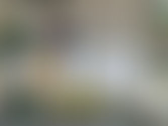 En Celaya los adolescentes de 13 años de edad prueban algún tipo de droga