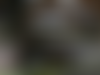 Preocupación por la seguridad de candidatos en las elecciones más grandes de México