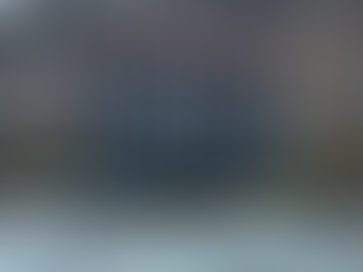 Aseguradoras destinan el 40% de pagos por huracán Otis a Pymes y comercios en Acapulco