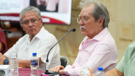 Anuncian actividades por el 8vo aniversario del Museo Octavio Ocampo