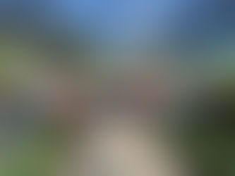 SE INICIA CAMPAÑA DE REFORESTACIÓN EN TARIMORO