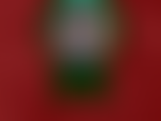 154 Aniversario de la Fundación de Ocampo Guanajuato