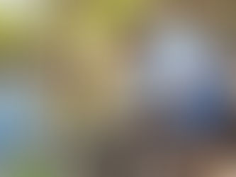 Compromiso ambiental del Gobierno del Bien: Luis Munguía impulsa un parque ecológico para salvar a la tortuga casquito 💚🐢