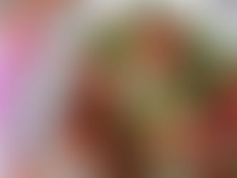 El Sistema de Salud de Guanajuato invita a cuidar la alimentación estas fiestas patrias