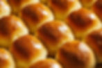 Dinner Rolls