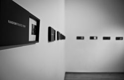 Random Exposition