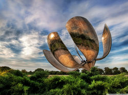 solar_flower_in_buenos_aires-wallpaper-1