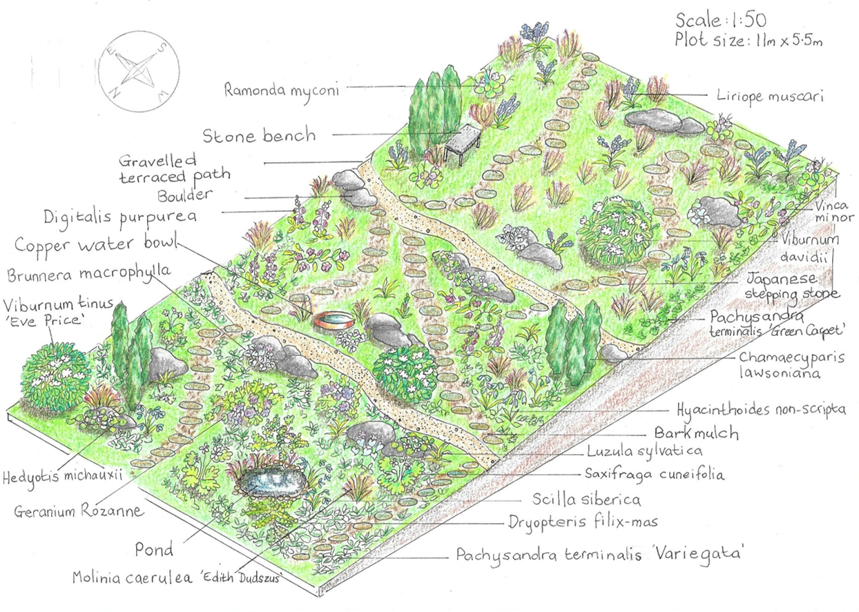 Shaded sloping garden