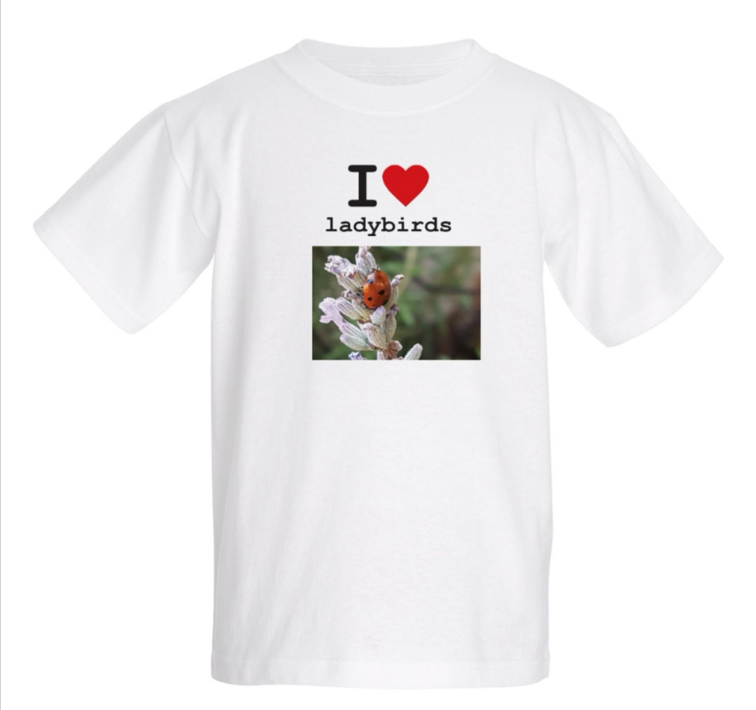I love Ladybirds T-Shirt