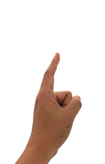 Index Finger