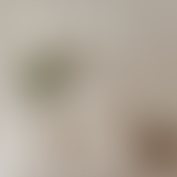 Mollat : Plus Qu’une Librairie