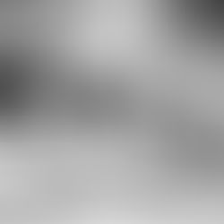 FRENCH & ENGLISH POLITENESS