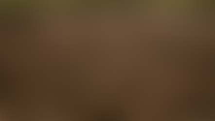Adding Custom Materials (e.g. Megascans)