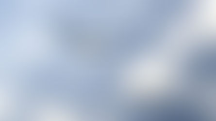 ஜொய்ங்’னு ரெண்டு புறா