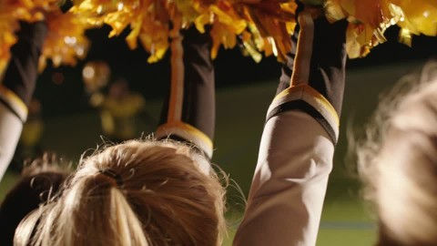 349220571-pompons-cheer-leading-cheerlea