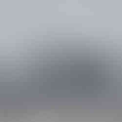 Rime ice formation on trees around Carillon Stonegate Ponds.