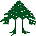 TREE TEST2.jpeg