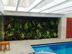 Arte vivo piscina cubierta interior