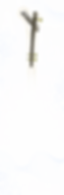 ChatGPT Image Jun 11, 2026, 05_18_55 PM.png