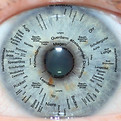 000000388-1280x1280.jpg