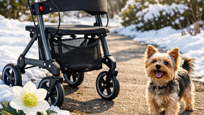Winter ade – Wir spazieren dem Frühling entgegen!