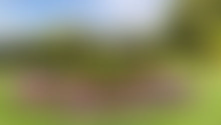 MartinsHof: Septembertermin für offene Gärten abgesagt