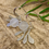 Thumbnail: Mistletoe Silver Drop Earrings   F&W