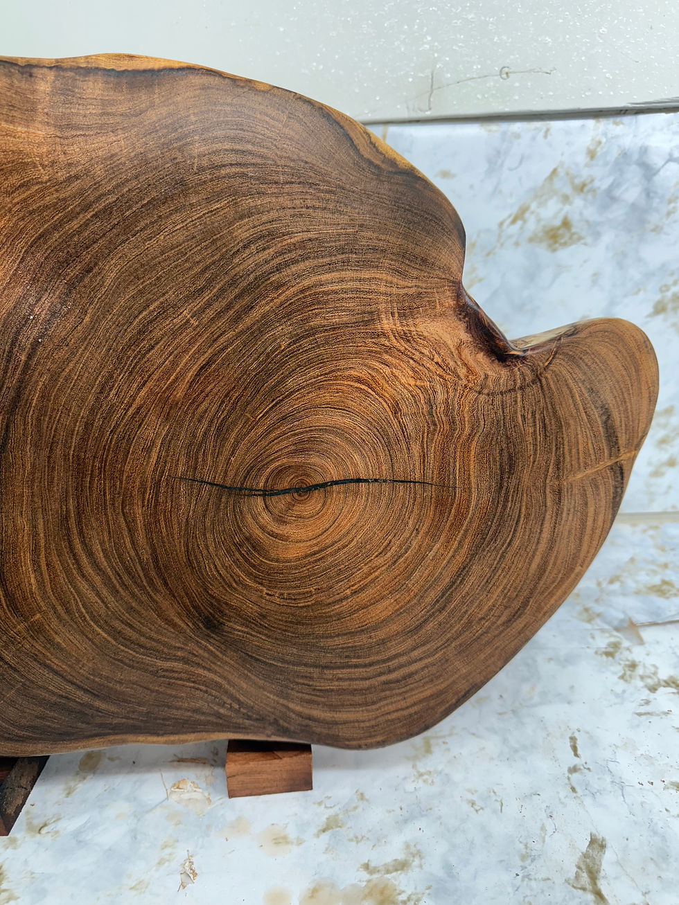 Thumbnail: Original cutting board 21”x13”x 2” piece  “bonespur”