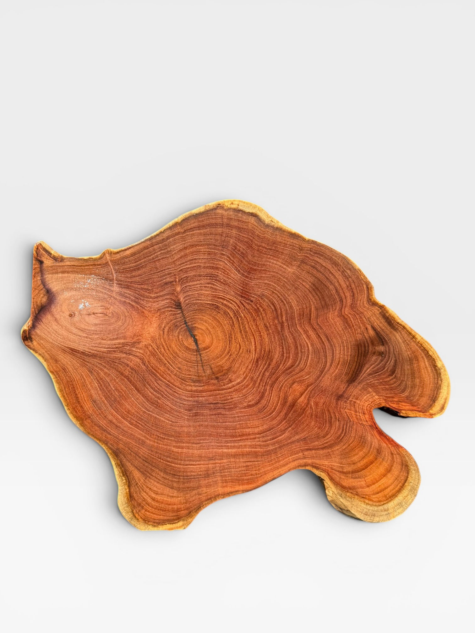 24” chopping block Chilean mesquite 2” thick 