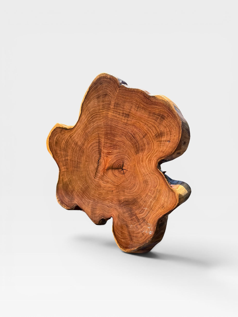 Thumbnail: 19” Chilean mesquite unique Cutting Board 2” thick 