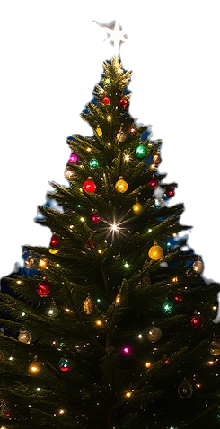 christmas tree at night background_edite