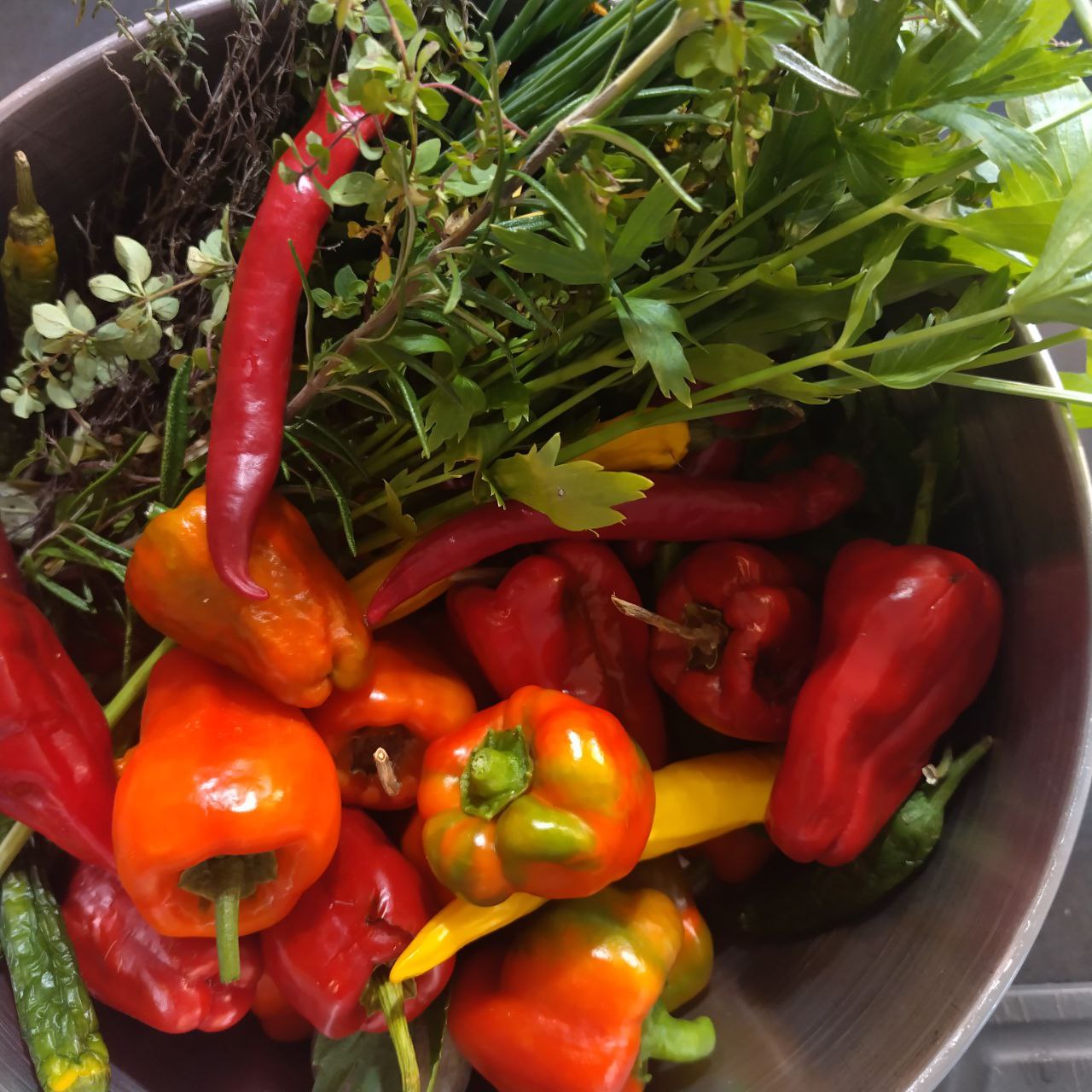 Einfaches Chilipaste Rezept für scharfe Genussmomente