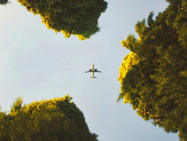 From Roots to Runways: Tremap heads to Heathrow!