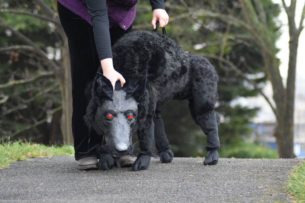The Black Dog 5