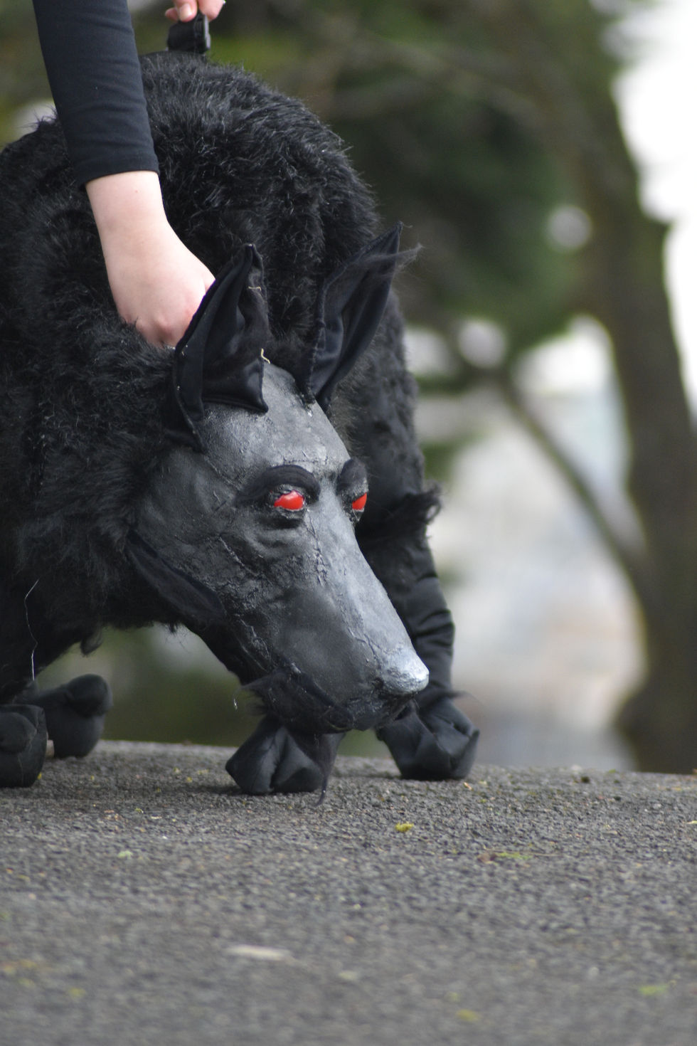 The Black Dog 2