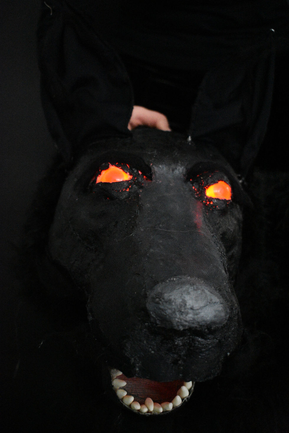 The Black Dog 8