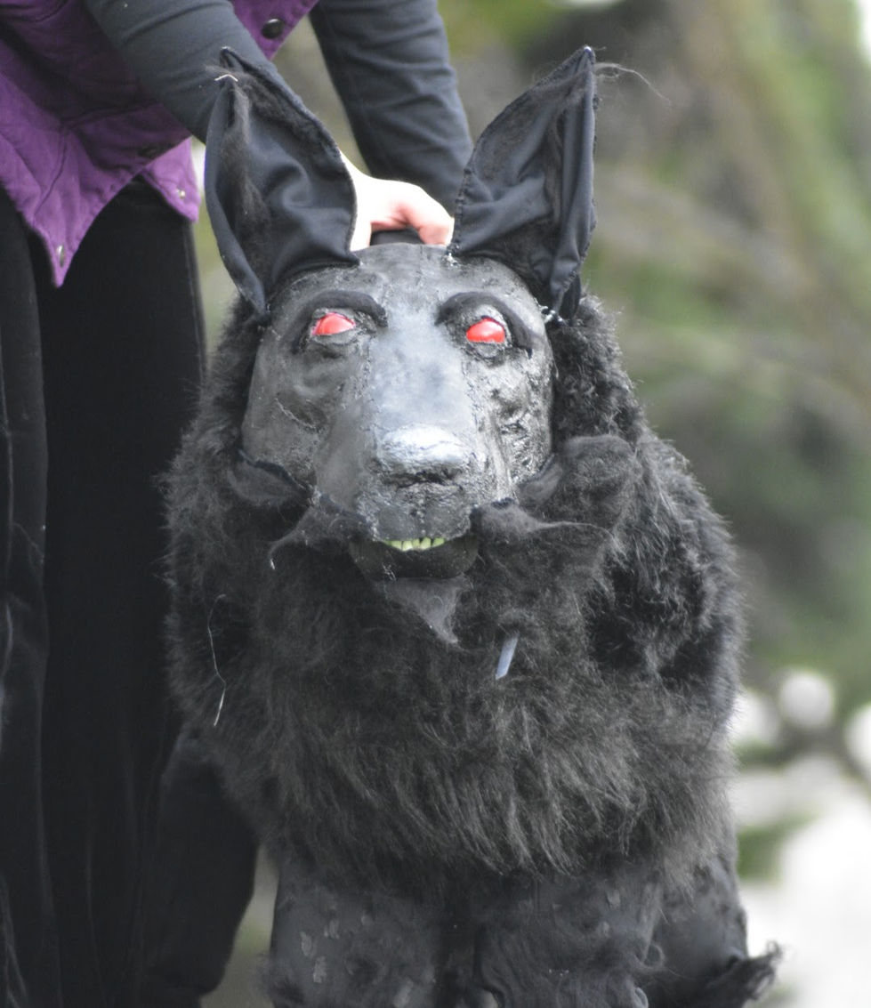 The Black Dog 6