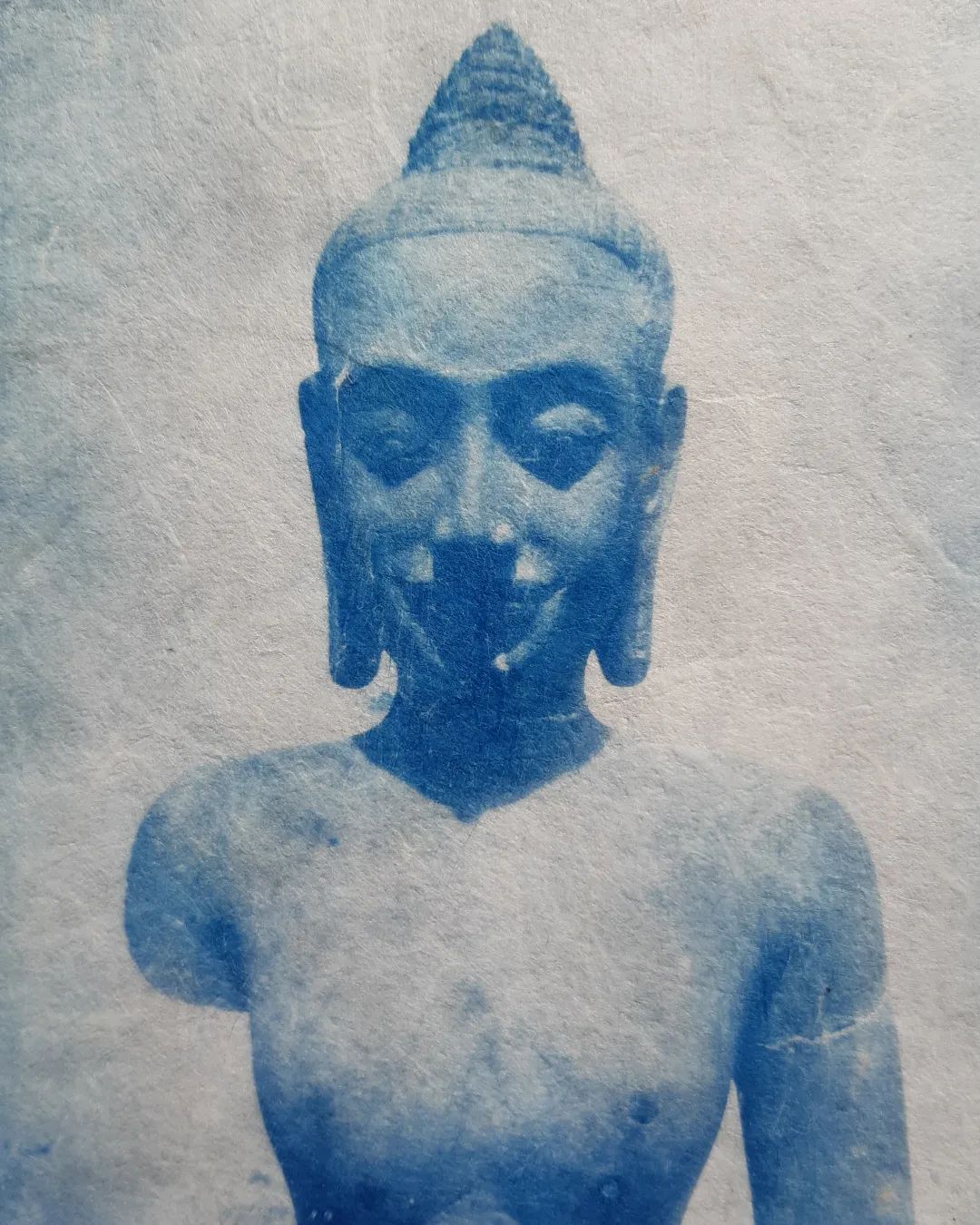 Laksmi Cambodge cyanotype kyanea