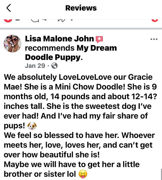 testimony from customer who bought a mini chowdoodle review_edited.jpg