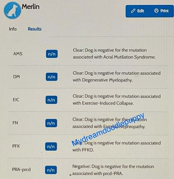 Merlin Heealt results_edited_edited.jpg