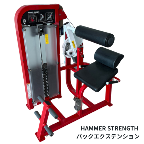 HAMMER STRENGTH    バックエクステンション