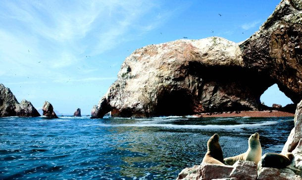 Paracas