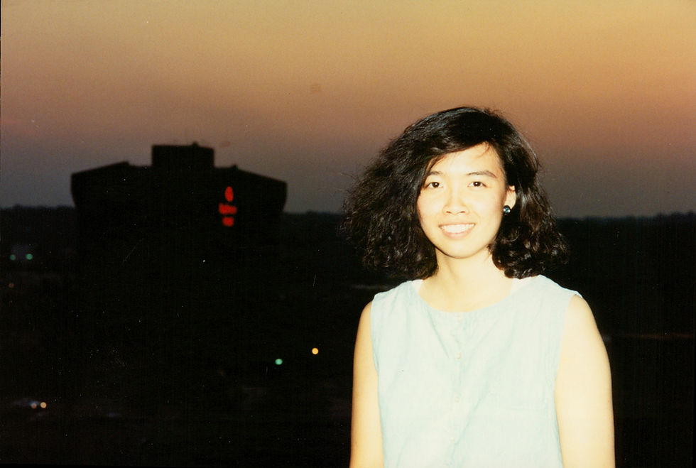 THE EARLY NINETIES