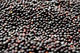 Are You the one Using Mustard Seeds in Preparing food, if yes its actually good for You.