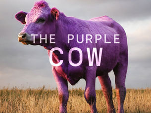 The Purple Cow. Why Seth Godin’s Most Important Marketing Idea Became More Relevant in the Age of AI