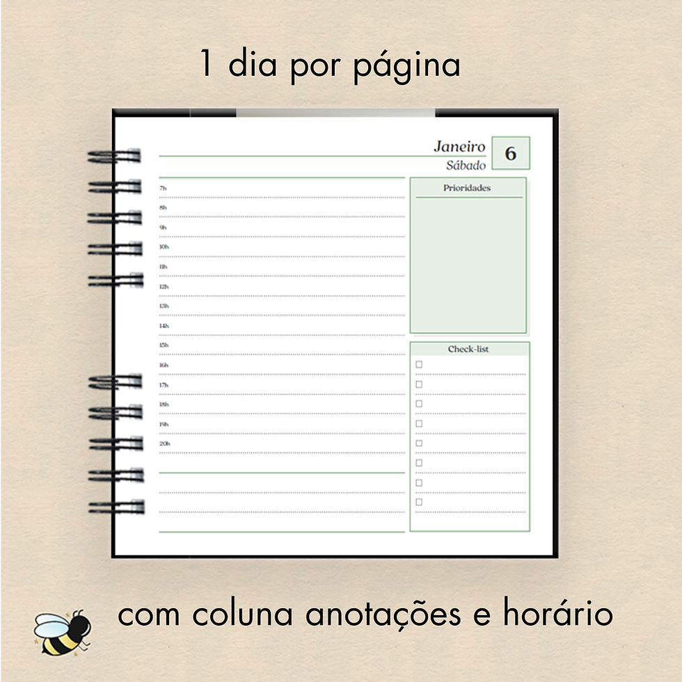 Miniatura: Mini Agenda 2025 - 1 DPP