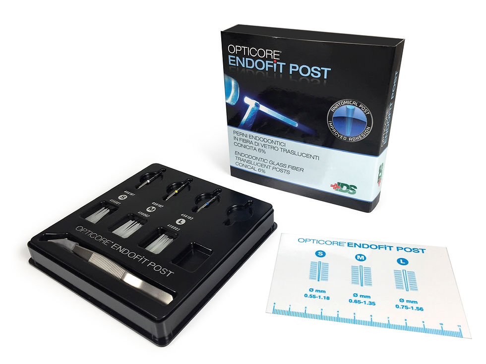 Miniature : Opticore Endofit Post - 12 tenons endodontiques translucides - conicité 6%